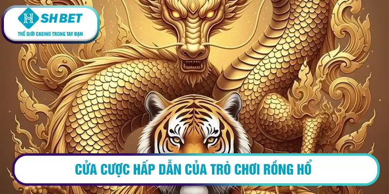 Rồng Hổ - game bài đổi thưởng có sức hút lớn 3 Cửa cược hấp dẫn của trò chơi Rồng Hổ