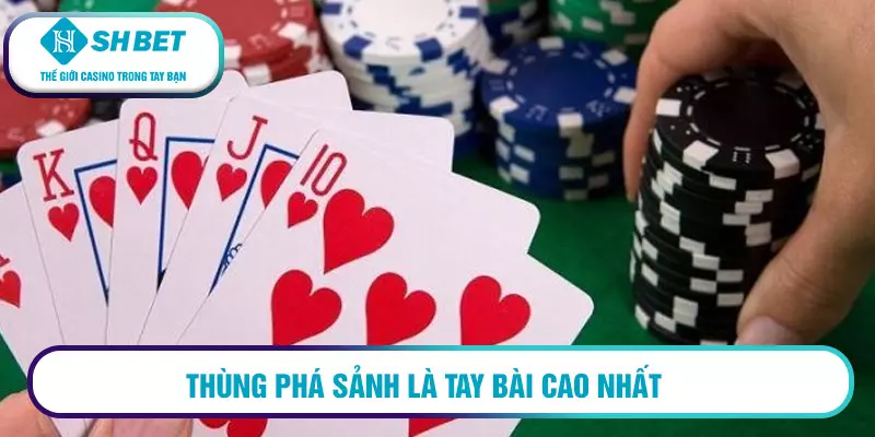 Poker (xì tố) là gì ? Mẹo chơi để dành chiến thắng 3 Thùng phá sảnh là tay bài cao nhất