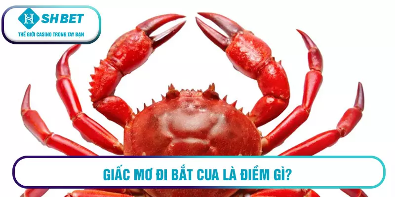 Giấc mơ đi bắt cua là điềm gì?
