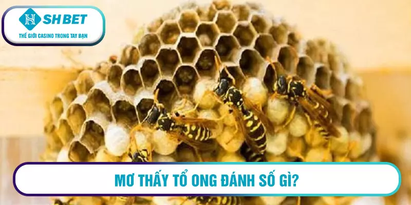Mơ thấy tổ ong có điềm báo gì? Giải mã giấc mơ ngay hôm nay! 3 Mơ thấy tổ ong đánh số gì?